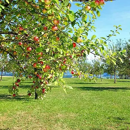 Mostlandhof Otel 3*