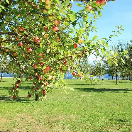 Mostlandhof Szálloda 3*