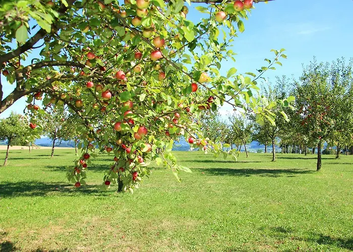 Mostlandhof Hotel 3*