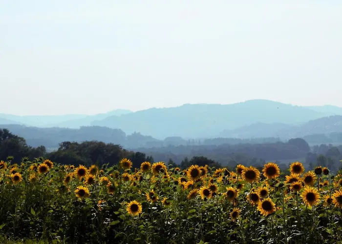 Mostlandhof Hotel Purgstall an der Erlauf
